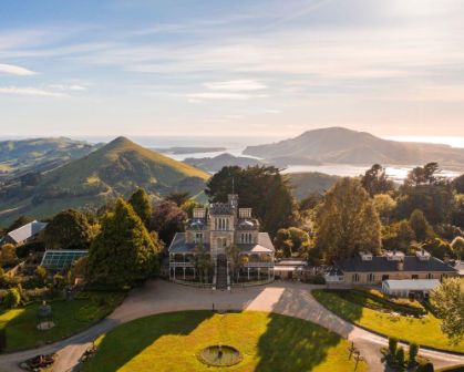 Picture of Dunedin