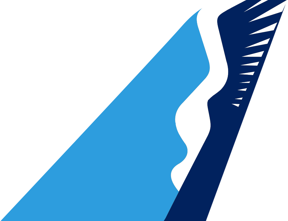 flypelican_Tail